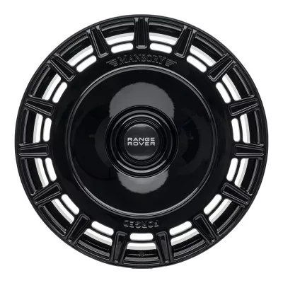 Molineur WT-RGW368