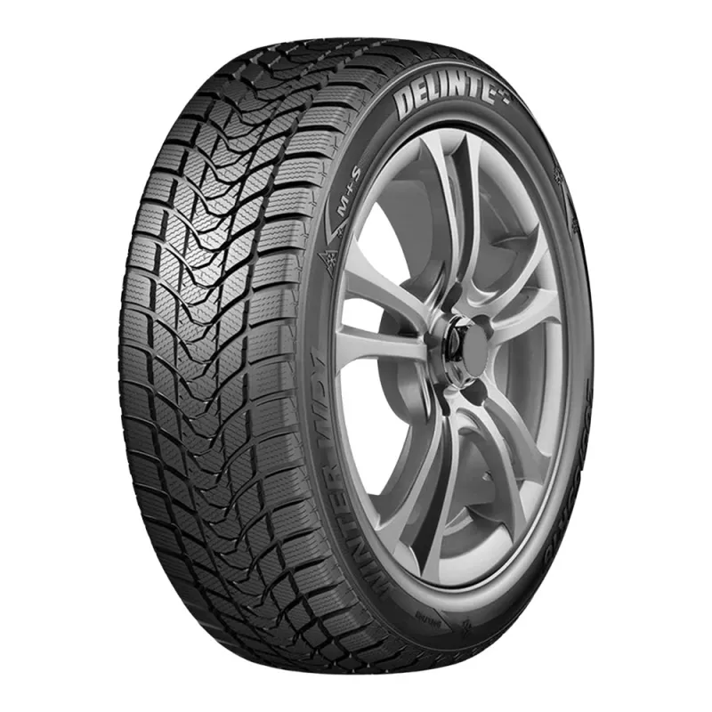 Delinte Winter WD1